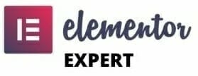 elementor expert big. - Futuria Marketing